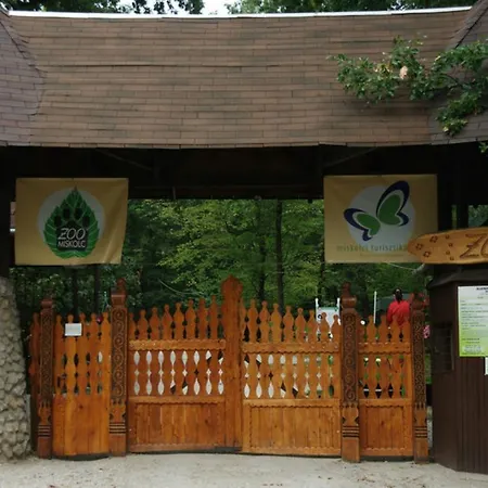 Hotel Alfa & Wellness Miskolctapolca 3*