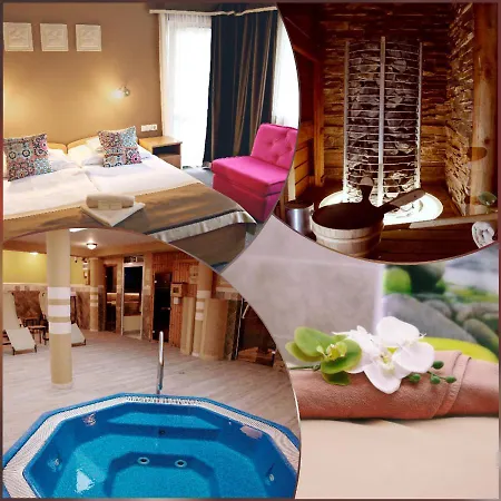 Alfa Hotel & Wellness Miskolctapolca