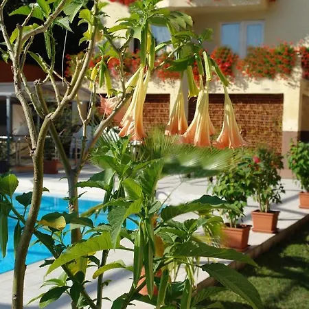 Alfa Hotel & Wellness Miskolctapolca