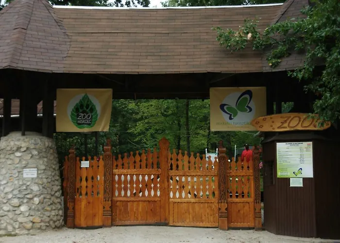 Отель Alfa Hotel & Wellness Miskolctapolca 3*